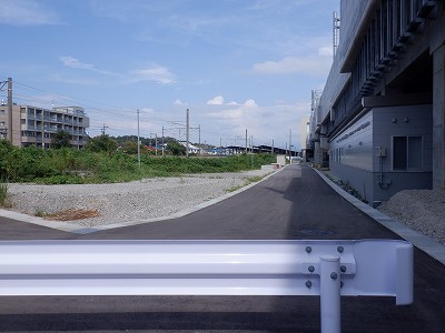 ���ꉷ��w�摜