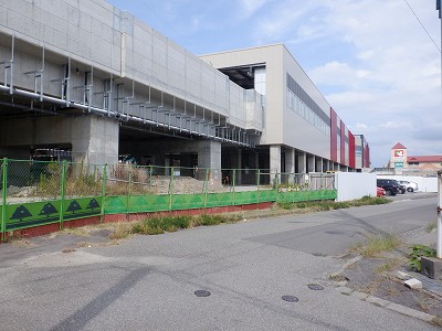 ���ꉷ��w�摜