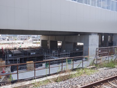 ���ꉷ��w�摜