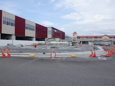 ���ꉷ��w�摜