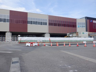 ���ꉷ��w�摜