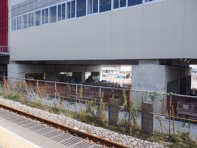 ���ꉷ��w�摜