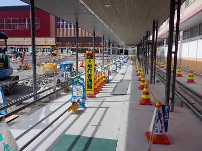 ���ꉷ��w�摜