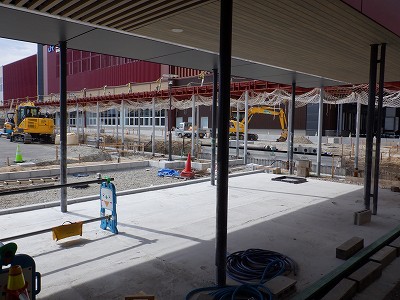 ���ꉷ��w�摜