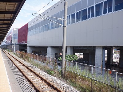 ���ꉷ��w�摜