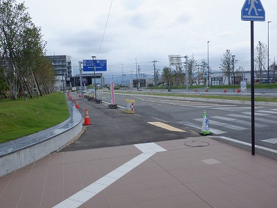 ���ꉷ��w�摜