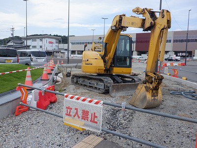 ���ꉷ��w�摜