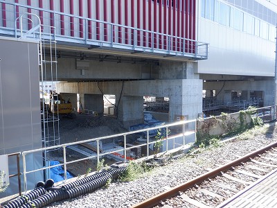 ���ꉷ��w�摜