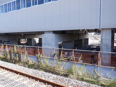 ���ꉷ��w�摜