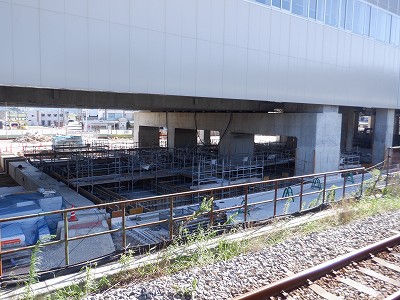 ���ꉷ��w�摜