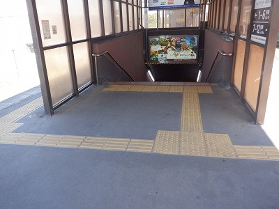 ���ꉷ��w�摜