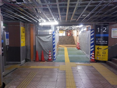 ���ꉷ��w�摜