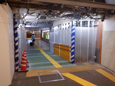 ���ꉷ��w�摜