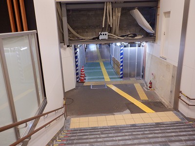 ���ꉷ��w�摜