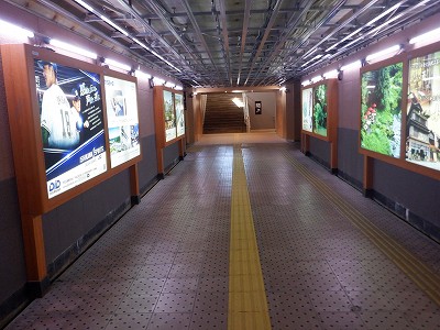 ���ꉷ��w�摜