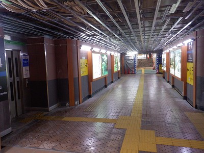 ���ꉷ��w�摜