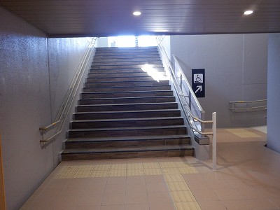 ���ꉷ��w�摜