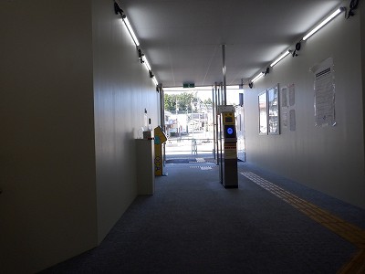 ���ꉷ��w�摜