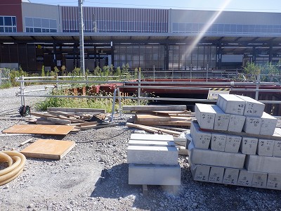 ���ꉷ��w�摜