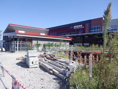 ���ꉷ��w�摜