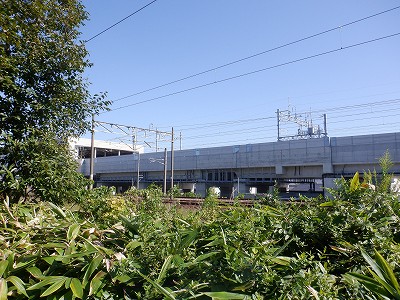 ���ꉷ��w�摜