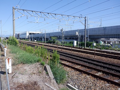 ���ꉷ��w�摜