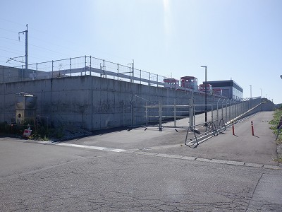 ���ꉷ��w�摜