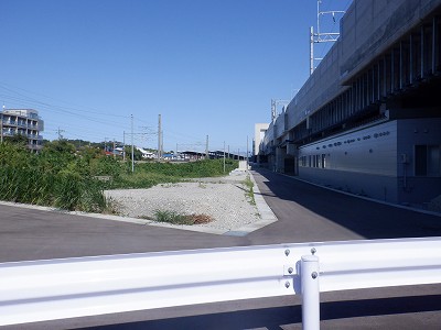 ���ꉷ��w�摜