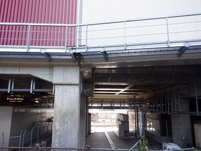 ���ꉷ��w�摜