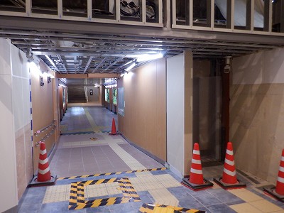 ���ꉷ��w�摜