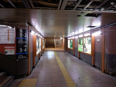 ���ꉷ��w�摜