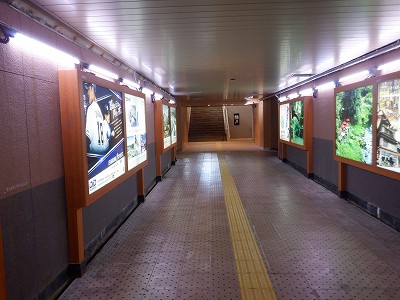 ���ꉷ��w�摜