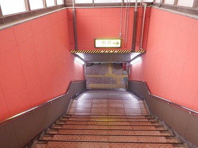 ���ꉷ��w�摜