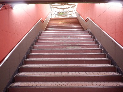 ���ꉷ��w�摜