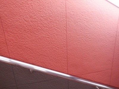 ���ꉷ��w�摜