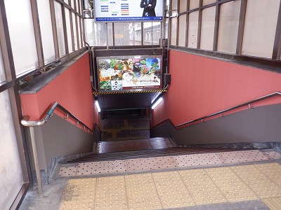 ���ꉷ��w�摜