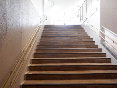 ���ꉷ��w�摜