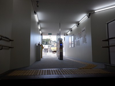 ���ꉷ��w�摜