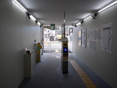 ���ꉷ��w�摜