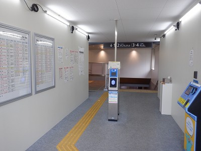 ���ꉷ��w�摜