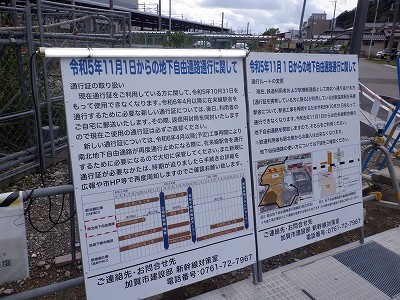 ���ꉷ��w�摜