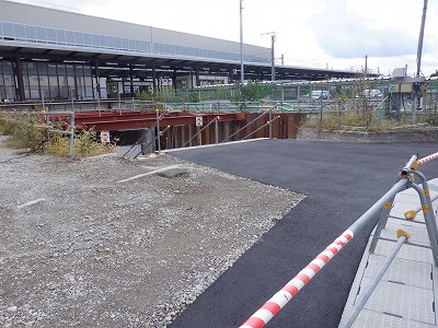 ���ꉷ��w�摜