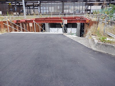 ���ꉷ��w�摜