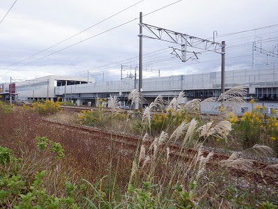 ���ꉷ��w�摜