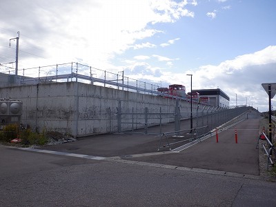 ���ꉷ��w�摜