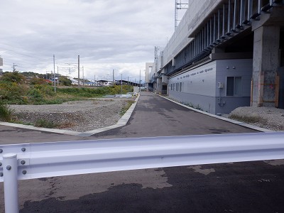 ���ꉷ��w�摜