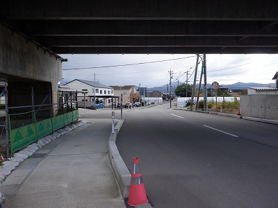 ���ꉷ��w�摜