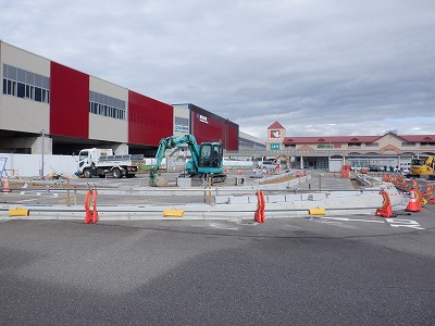 ���ꉷ��w�摜