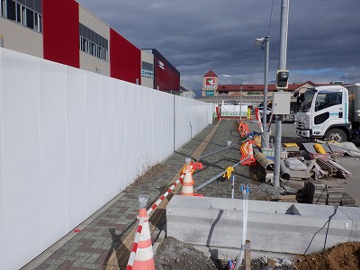 ���ꉷ��w�摜