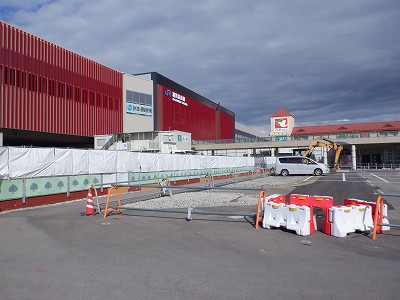 ���ꉷ��w�摜